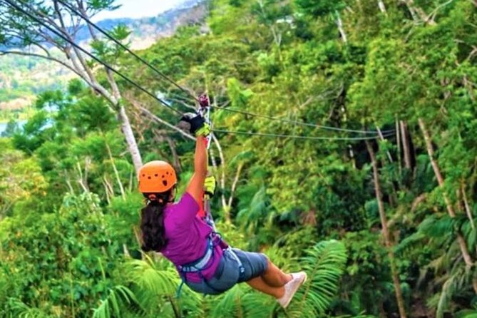 Zipline and Sloth Sanctuary Private Tour - Tour Overview and Highlights