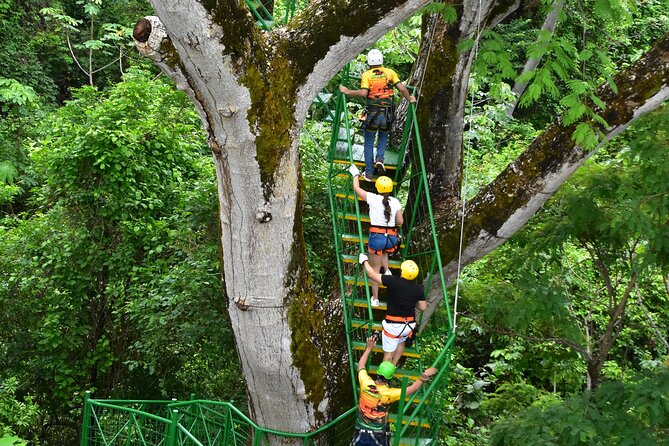 Zipline at Skyline Canopy Tour Guanacaste Costa Rica - Wildlife Spotting Opportunities