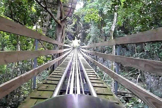 Zipline, Bobsled - Dunns River - Bob Marley From Ocho Rios - Booking and Cancellation