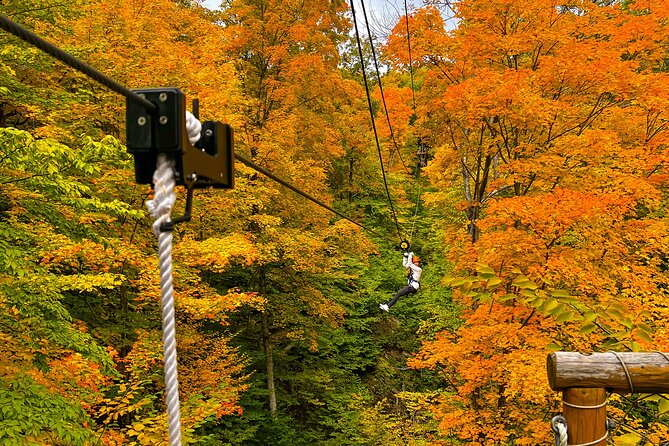 Zipline Canopy Activity Admission at Bristol Mountain - Booking Details