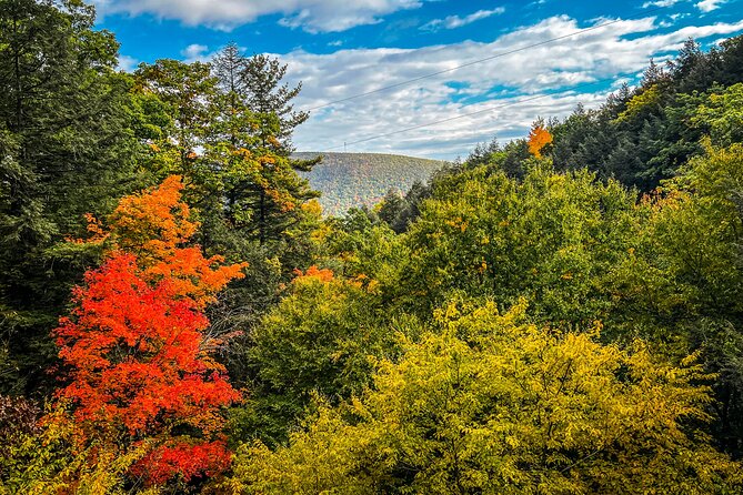 Zipline Canopy Activity Admission at Bristol Mountain - What to Expect