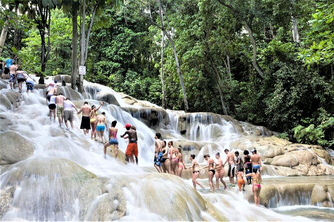 Zipline Canopy & Dunns River Falls Guided Tour With Admission From Falmouth - What to Bring and Dress Code