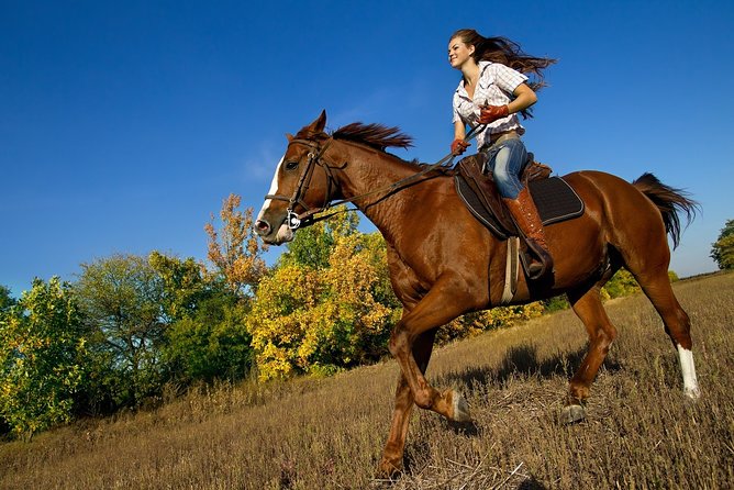 Zipline Canopy Tour & Horseback Riding Combo. Private Tour From San Jose - Pricing and Cancellation