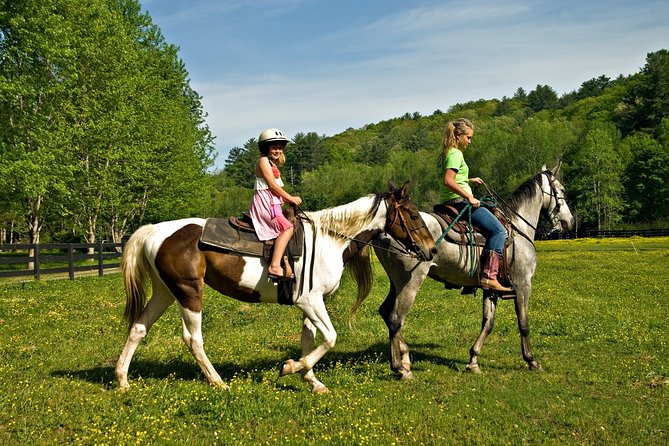 Zipline Canopy Tour & Horseback Riding Combo. Private Tour From San Jose - About the Destination