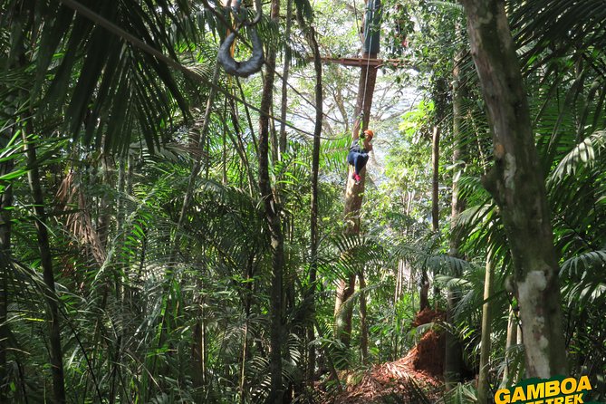 Zipline Gamboa - Key Points