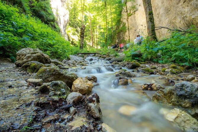 Zipline, Hiking and Canyon Crossing Expedition - Tour Overview
