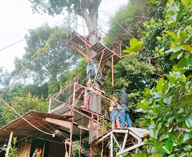 Zipline in Koh Samui Adventure activity tour - What to Expect: From Pickup to Finish