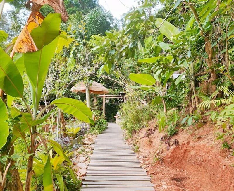 Zipline in Koh Samui Adventure activity tour - What the Reviews Say About the Experience