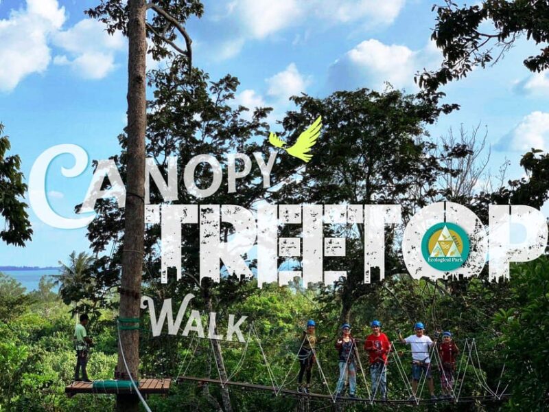 Zipline Krabi Adventure & Canopy TreeTop Walk - Overview