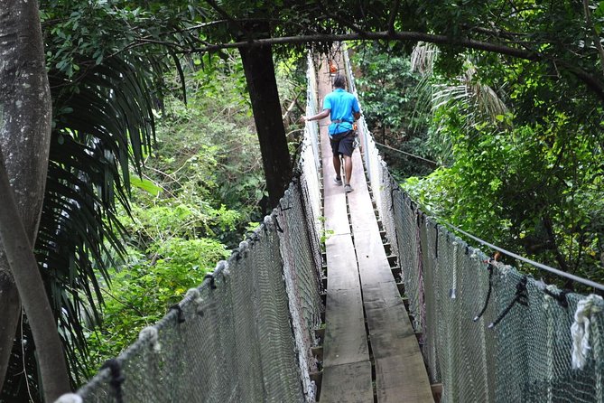 Zipline, Optional Monkeys/Sloths/Macaws Visit & West Bay Beach Resort: Roatan,HN - Animal Encounters