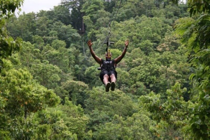 Zipline Over the Dunns River Falls Adventure - Transportation and Pickup