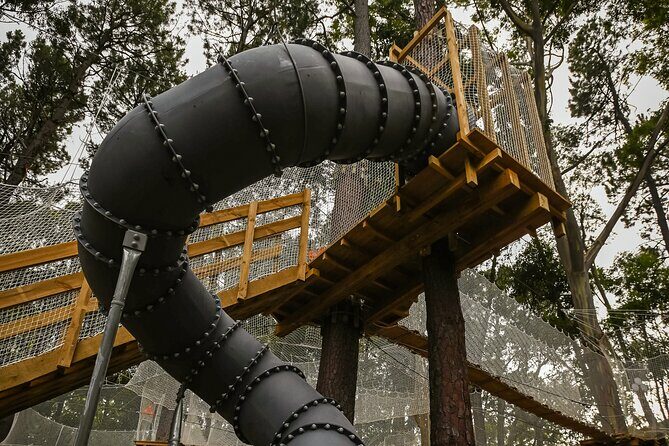Zipline over the Heysen Trail & Through the Pines of Kuitpo - Who Will Love This Experience?