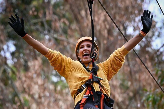 Zipline over the Heysen Trail & Through the Pines of Kuitpo - The Sum Up: Is It Worth Your Time and Money?