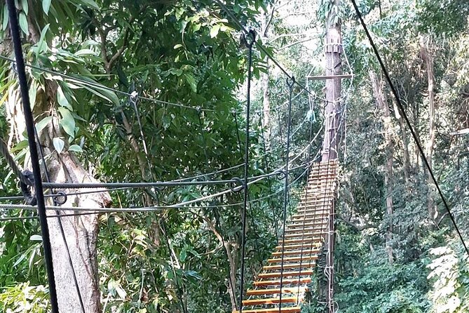 Zipline Ride on Koh Samui - Guidance and Safety Measures