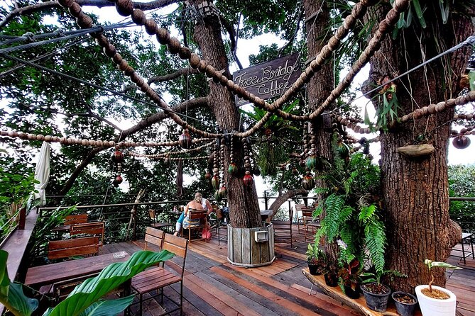 Zipline Ride on Koh Samui - Transportation and Logistics