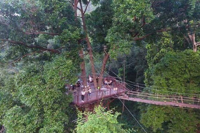 Zipline Ride on Koh Samui - Important Weight Restrictions