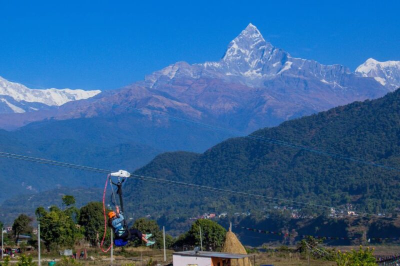 Zipline - Booking and Reservation Details