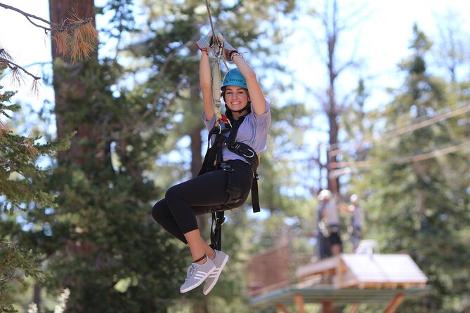 Zipline Tour - 9 High-Speed Ziplines & Fun Suspension Bridge - Professional Guides and Equipment