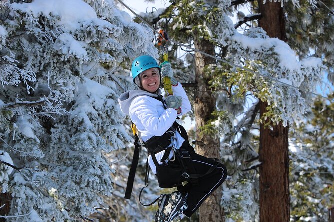 Zipline Tour - 9 High-Speed Ziplines & Fun Suspension Bridge - Departure and Return Location