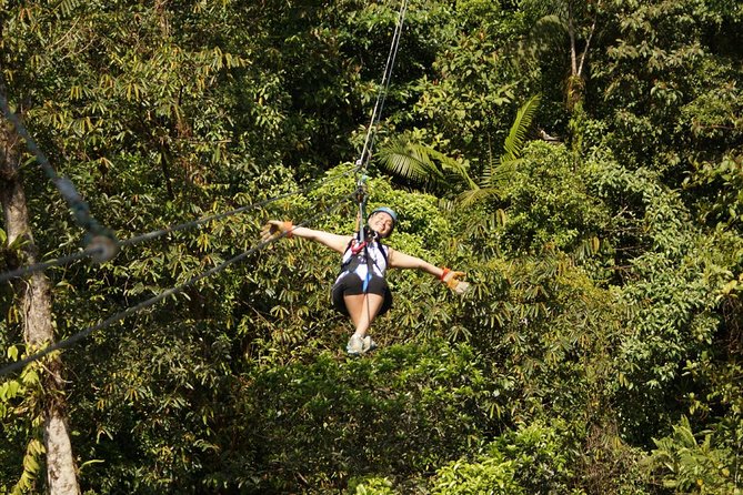 Zipline Tour in Braulio Carrillo National Park From San José - Tour Overview