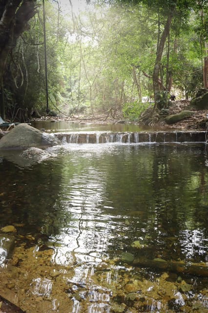 Zipline Tour in the Amazing Ecopark + Waterfall, Vallarta - Tequila Tasting and Relaxation