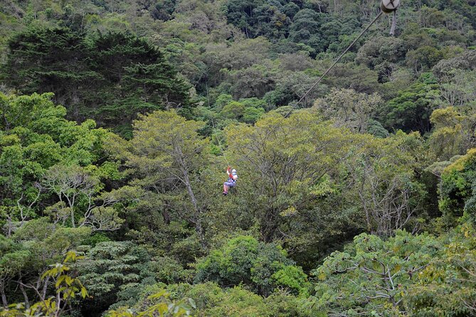Zipline Tour on the Central Valley of Costa Rica - Key Points
