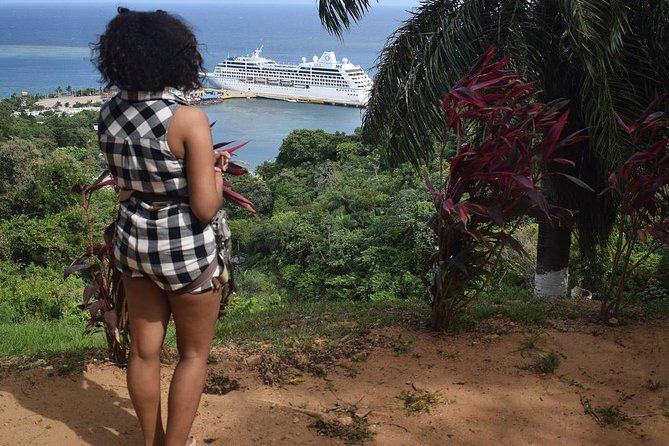 Zipline, Wildlife Park & Beach Jam-Packed Excursion - Exhilarating Zipline Adventure