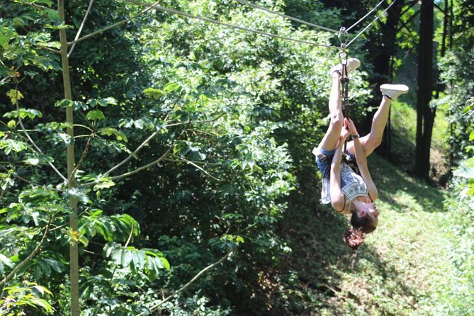 Zipline, Wildlife Park & Beach Jam-Packed Excursion - Sampling Local Chocolate