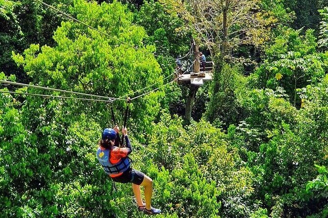 Zipline with Waterfalls and Lunch, Amber Cove and Taino Bay - Key Points