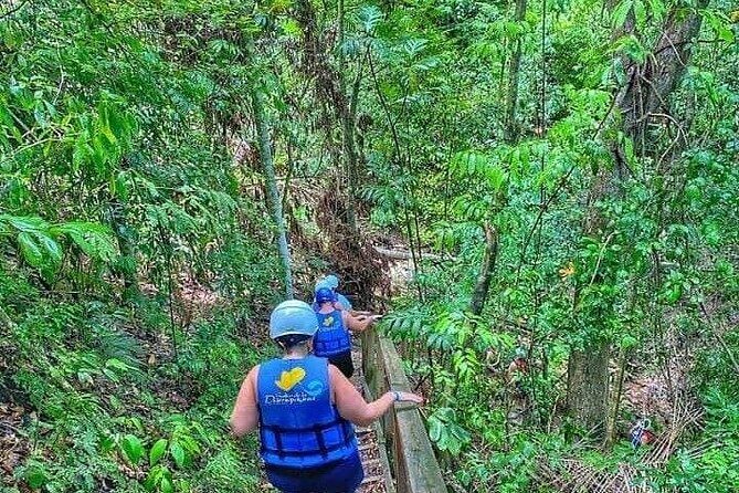 Zipline with Waterfalls and Lunch, Amber Cove and Taino Bay - Authentic Experiences, Safety, and Value
