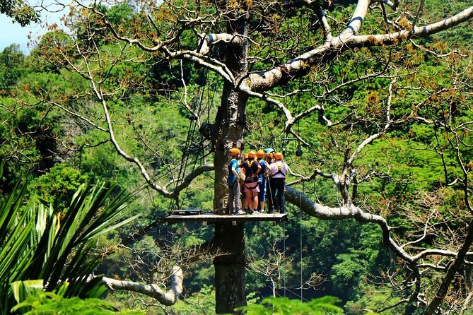 Ziplines 28 Platforms With Free Transfer Roundtrips - Pickup Information