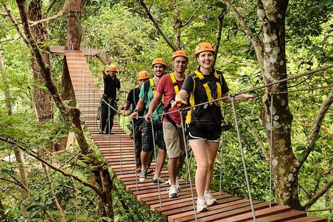 Ziplines 28 Platforms With Free Transfer Roundtrips - Accessibility Details