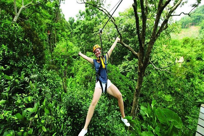 Ziplines 28 Platforms With Free Transfer Roundtrips - Sum Up