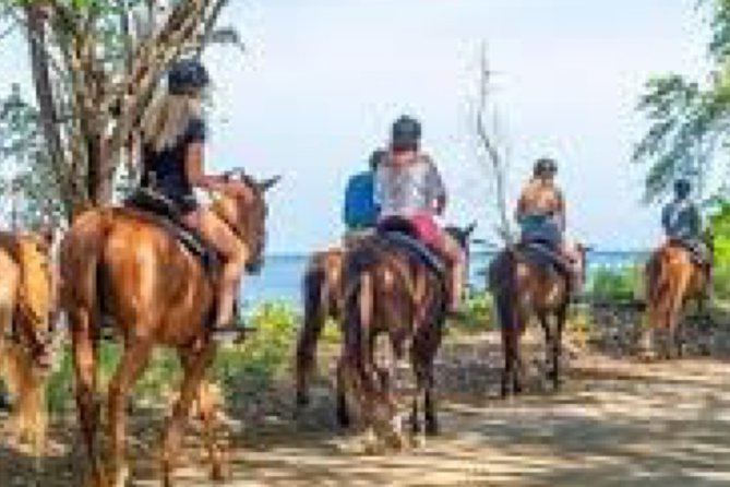 Ziplines/Horse Back Ride & Swim and ATV or Dune Buggy. - Activities and Inclusions