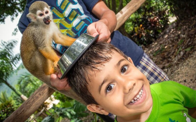 Ziplines Jungle Day Combo Tour - Ziplines and Monkey Sanctuary
