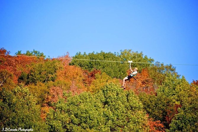 Ziplines Over the Laurentian Mountains at Mont-Catherine - Zipline Course Details