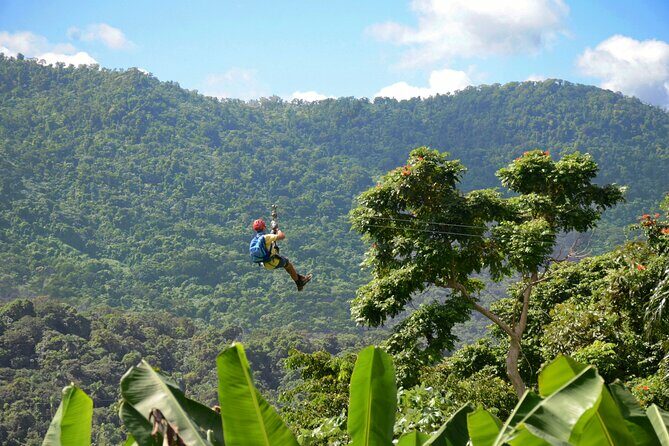 Ziplining at the Rainforest in Puerto Rico - Introduction: A Thrilling Adventure in Puerto Rico’s Rainforest