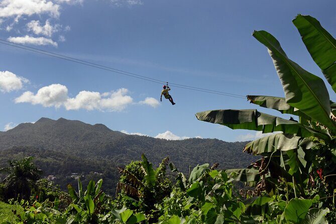 Ziplining at the Rainforest in Puerto Rico - Key Points