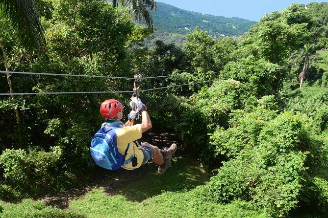 Ziplining at the Rainforest in Puerto Rico - Who Will Love This Tour?