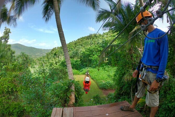 Ziplining at the Rainforest in Puerto Rico - The Sum Up: Is This Tour Right for You?