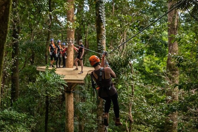 Ziplining Cape Tribulation With Treetops Adventures - Inclusions