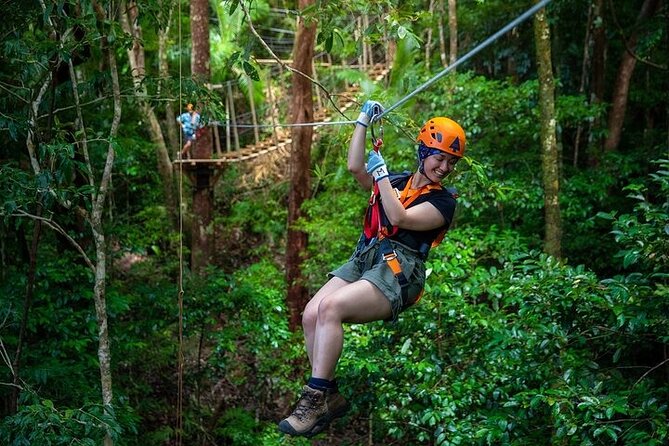 Ziplining Cape Tribulation With Treetops Adventures - Daintree River Ferry