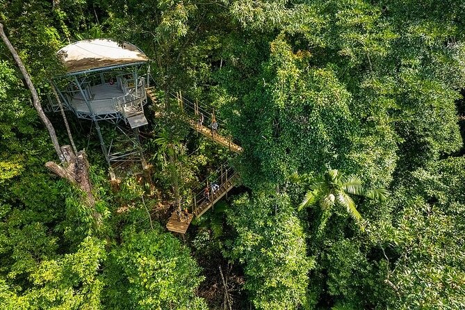 Ziplining Cape Tribulation With Treetops Adventures - Physical Fitness Level