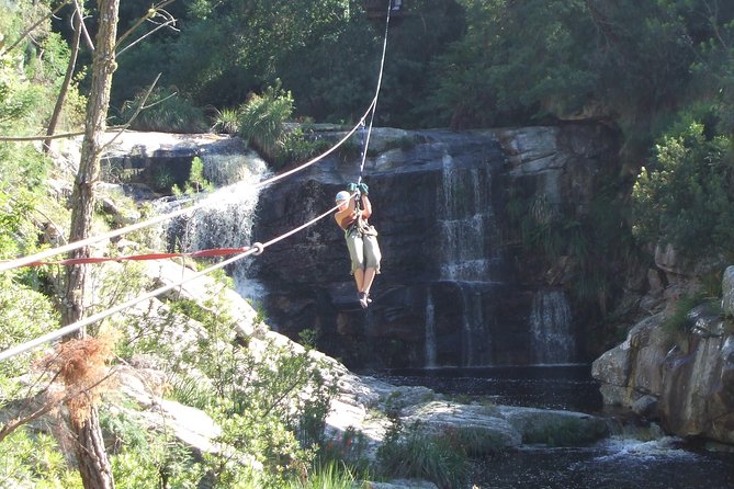 Ziplining Elgin - Highlights of the Experience