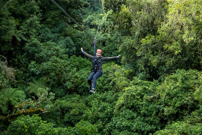 Ziplining Forest Adventure - The Original Canopy Tour Rotorua - Physical Requirements and Restrictions