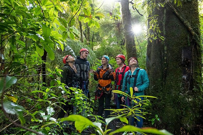 Ziplining Forest Adventure - The Original Canopy Tour Rotorua - Safety and Risk Management