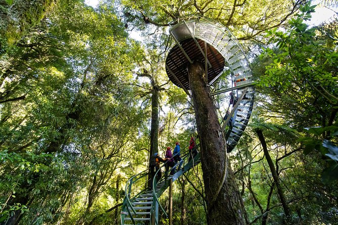Ziplining Forest Experience - The Ultimate Canopy Tour Rotorua - Inclusions and Logistics