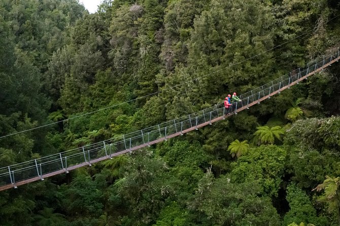 Ziplining Forest Experience - The Ultimate Canopy Tour Rotorua - Guides and Safety Protocols