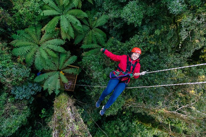 Ziplining Forest Experience - The Ultimate Canopy Tour Rotorua - Conservation Education and Ecology