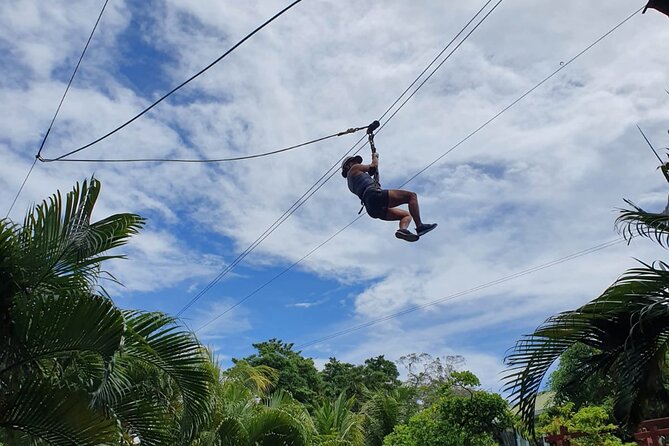 Zipp Line + Animal Sanctuary +Atvs City Walk + Rum & Chocolate Factory - Key Points